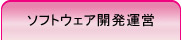 ソフトウェア開発運営